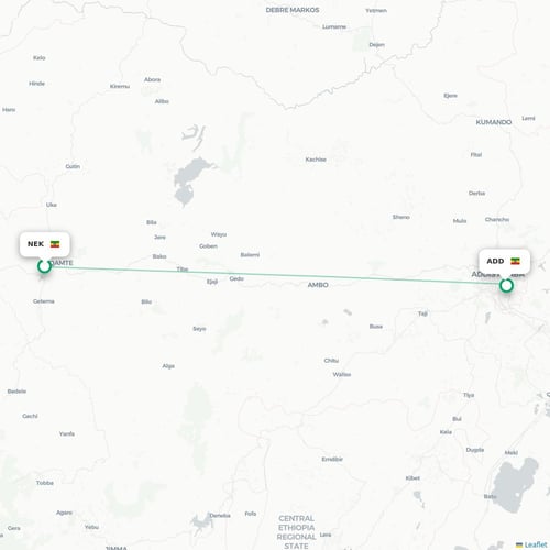 Nekemt Airport